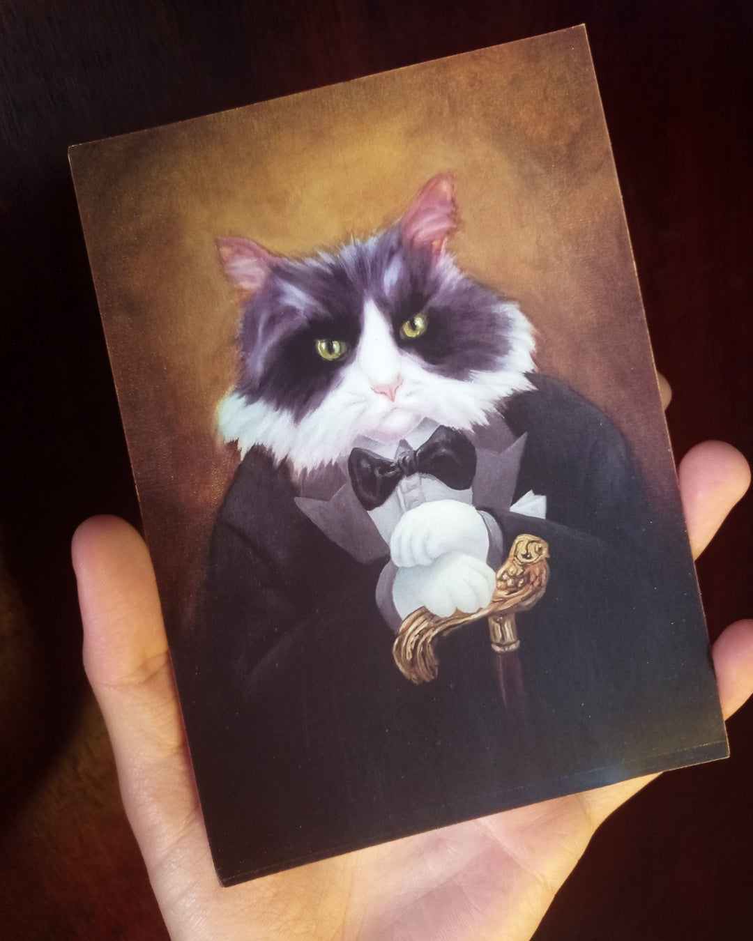 Fancy Cat Art Club - BRASIL